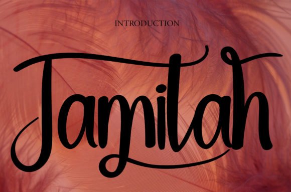 Jamilah Font - Featured Image