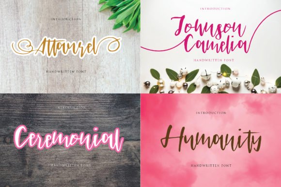 Johnson Camelia Font - Featured Image