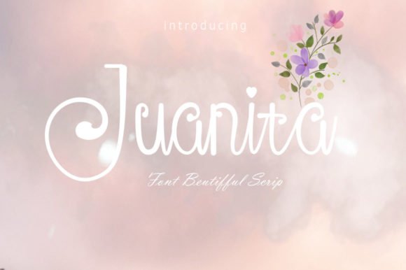 Juanita Font - Featured Image