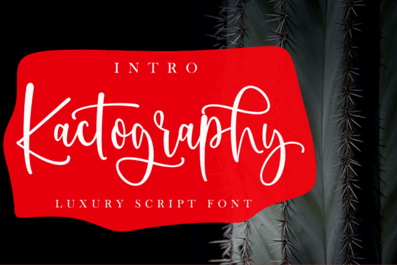 Kactography Font - Featured Image