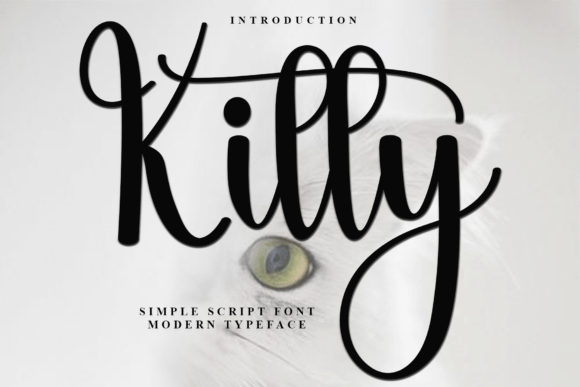 Kitty Font - Featured Image
